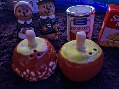 Thanksgiving & Fall Ceramic Salt & Pepper Shaker Set - Bears, Cranberry Sauce, Stuffing Mix, Apples