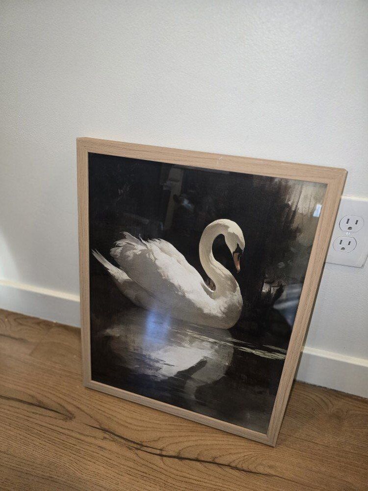 Framed Swan Wall Art