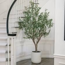 Faux 8' OLV-25054PC Olive Tree 1812703 #105625