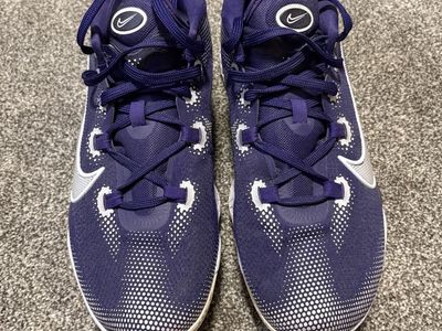 Nike Air Zoom BB NXT New Orchid