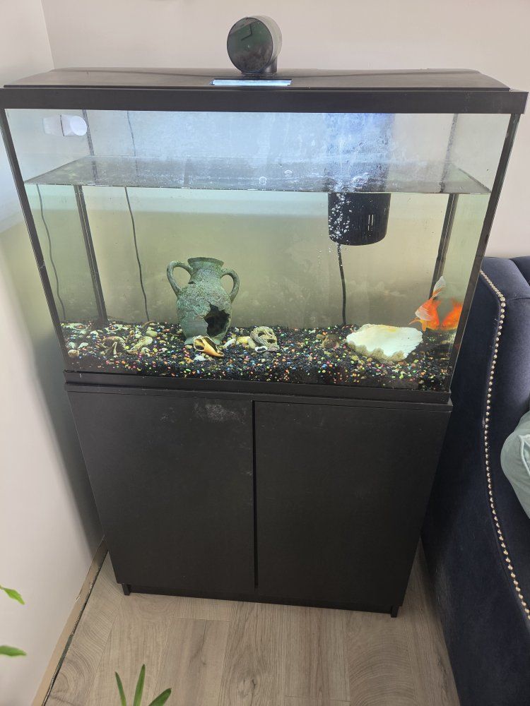 Fish Tank with Stand, Goldfish, Filter, and Accessories