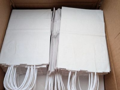 Case of 80 small white paper bags