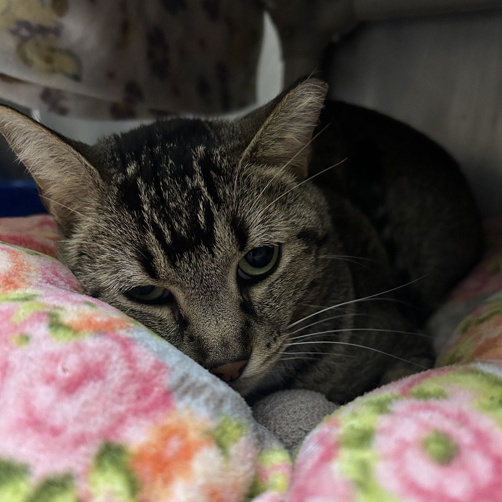 Hello my name is Ashwin