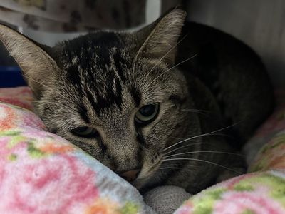 Hello my name is Ashwin