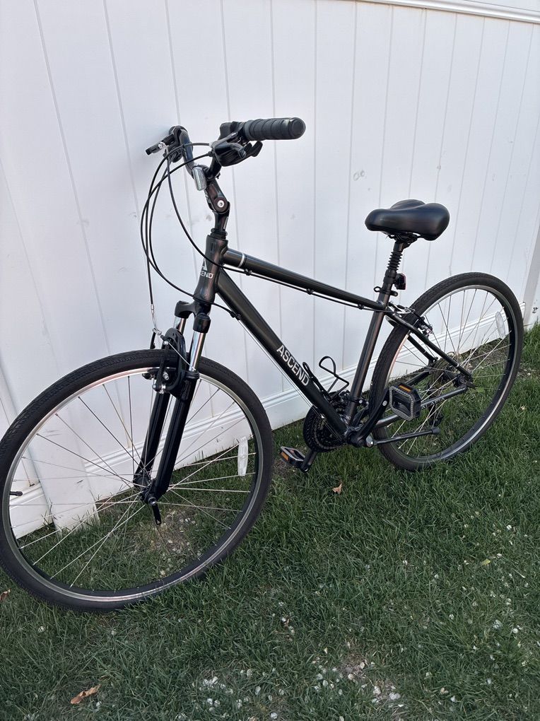 ASCENT Road Bike Cruiser