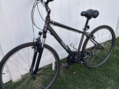 ASCENT Road Bike Cruiser