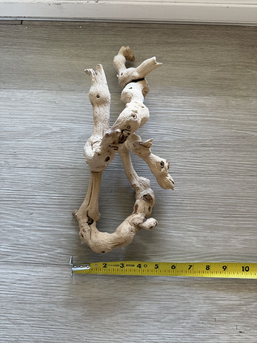 Main image 3