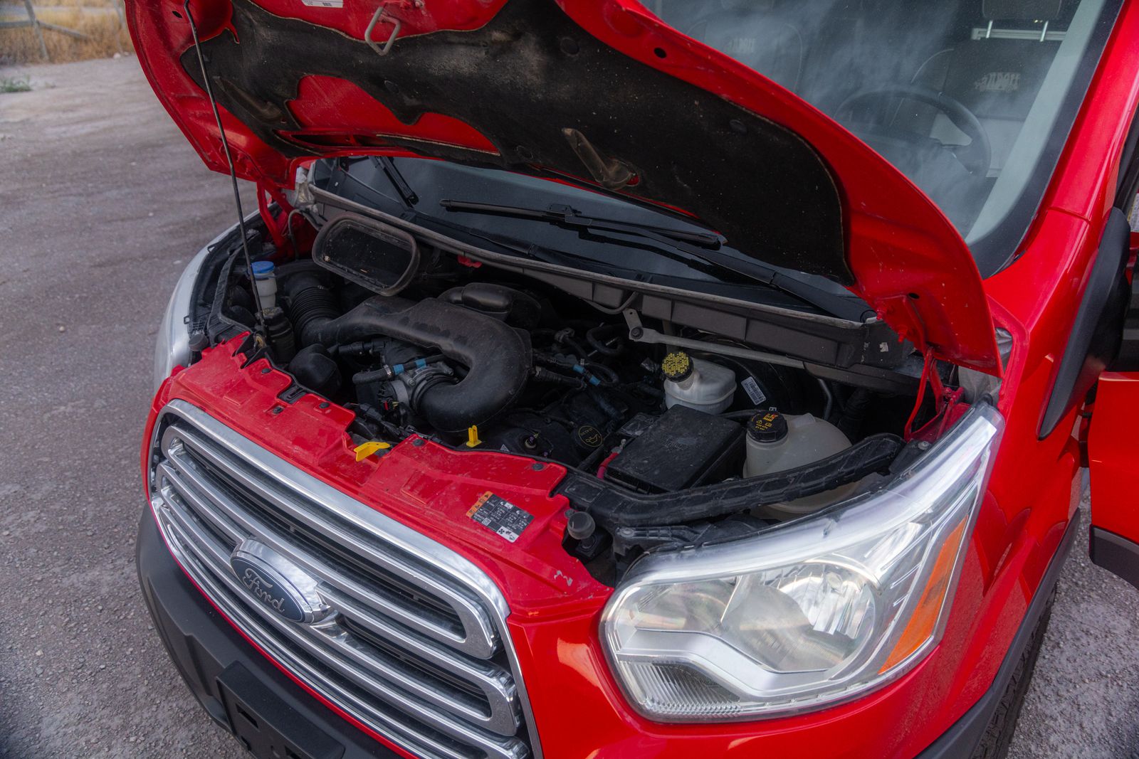 Main image 46