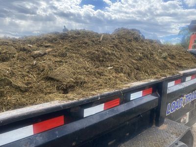 Nutrient Rich Goat Sheep Manure