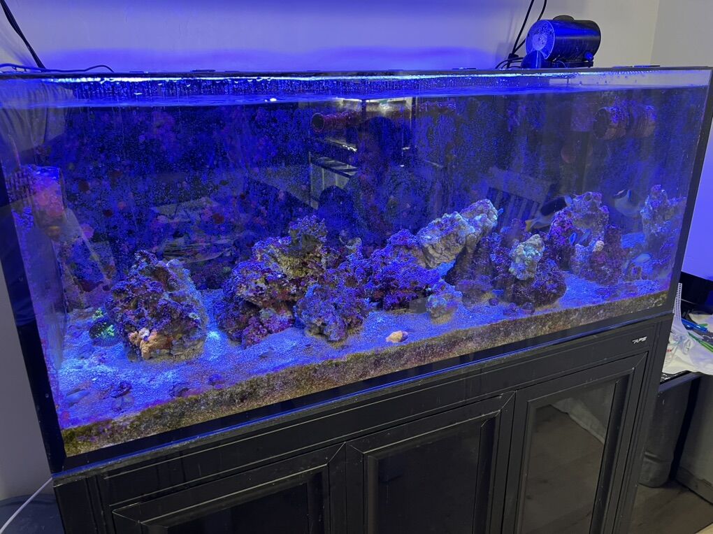 Innovative Marine INT 100