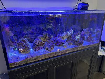 Innovative Marine INT 100