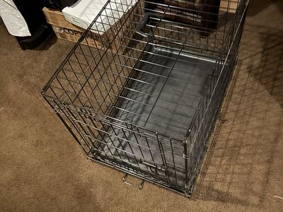 Collapsible Wire Metal Dog Crate With Removable Plastic Traydog