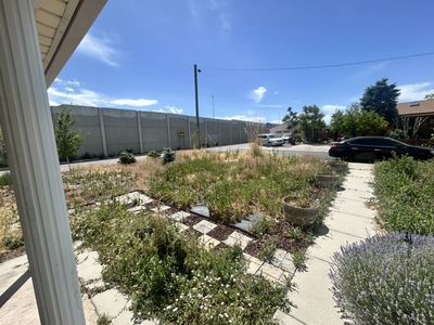 Weeds Removal Yard Clean Up Mowing Great Prices