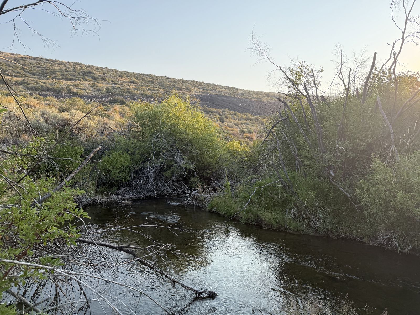 TBD Lot 1 Bloomington Canyon Rd- Keller Williams Realty East Idaho