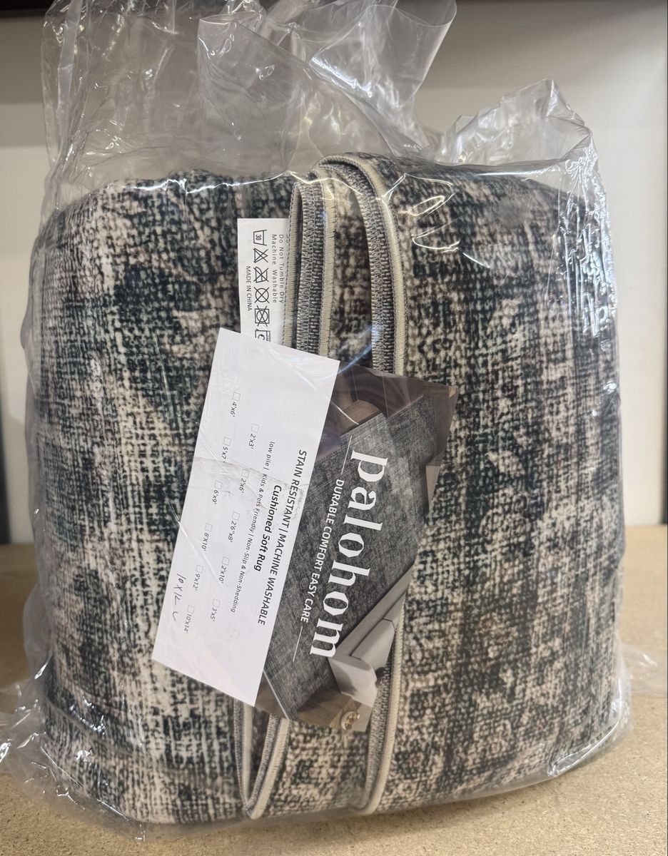 10 x 12 Palohom Area Rug