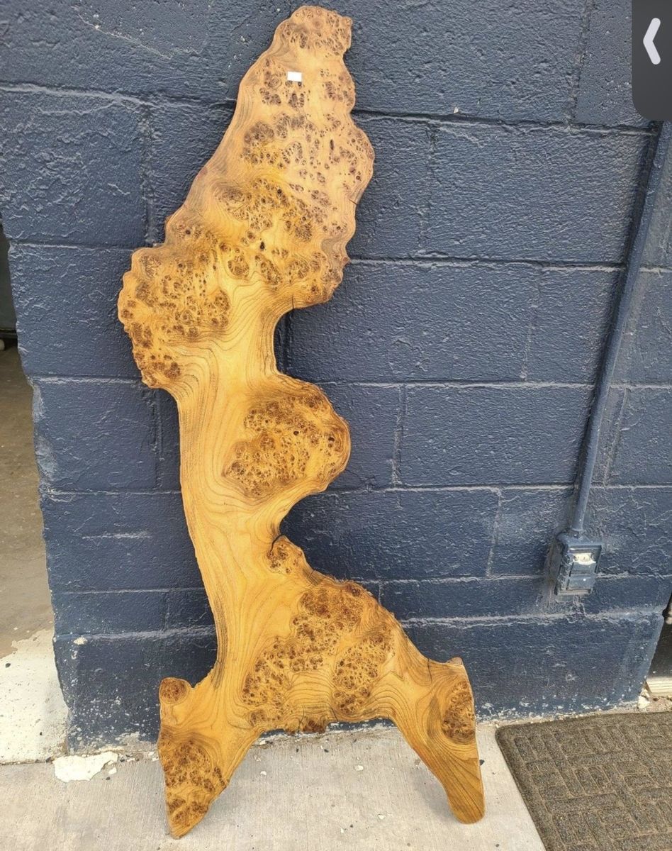 Vintage Large Live Edge Burl Wood Slab – Natural Rustic Wall Art / Table Top