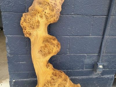 Vintage Large Live Edge Burl Wood Slab – Natural Rustic Wall Art / Table Top