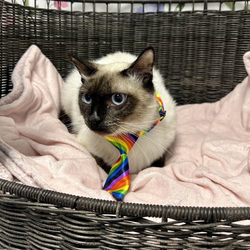 Hello my name is Willard