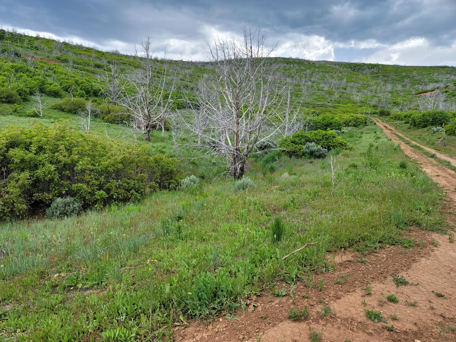 One acre of Sanpete paradise, FREE ski pass"
