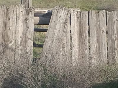 barn wood