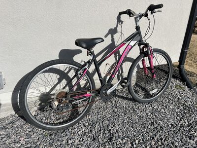 Girls Schwin Mountain Bike