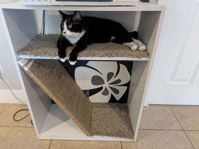 Homemade cat tree house