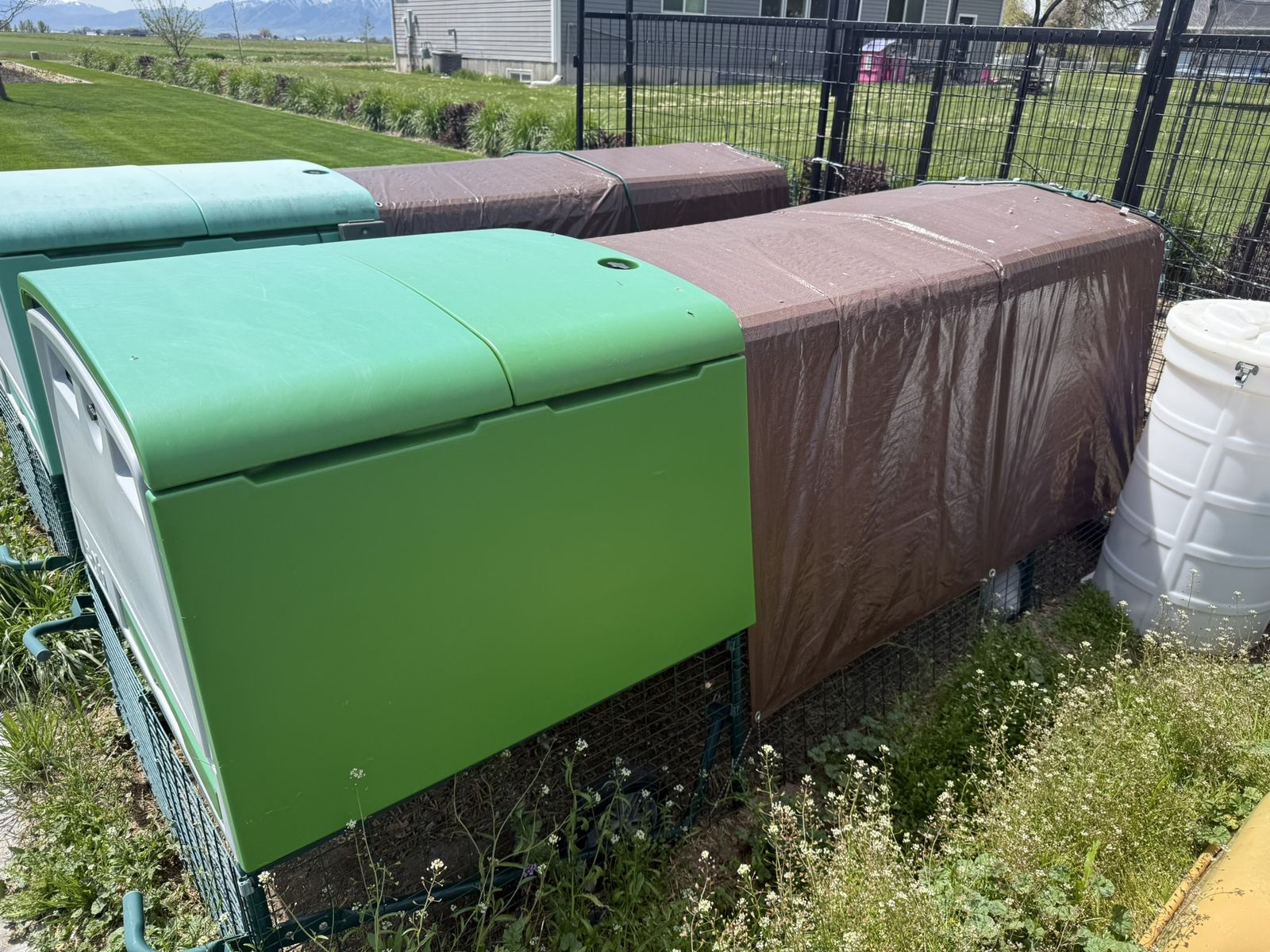 Premium Chicken Coop Eglu Cube by Omlet