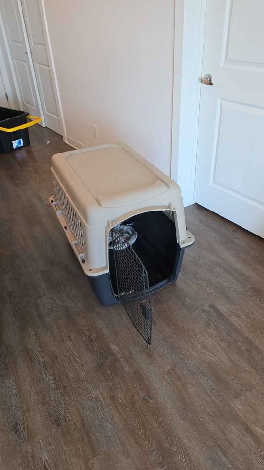 Plastic Dog Kennel