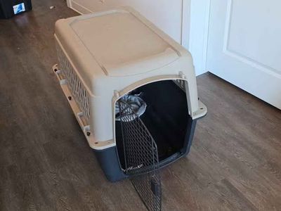 Plastic Dog Kennel