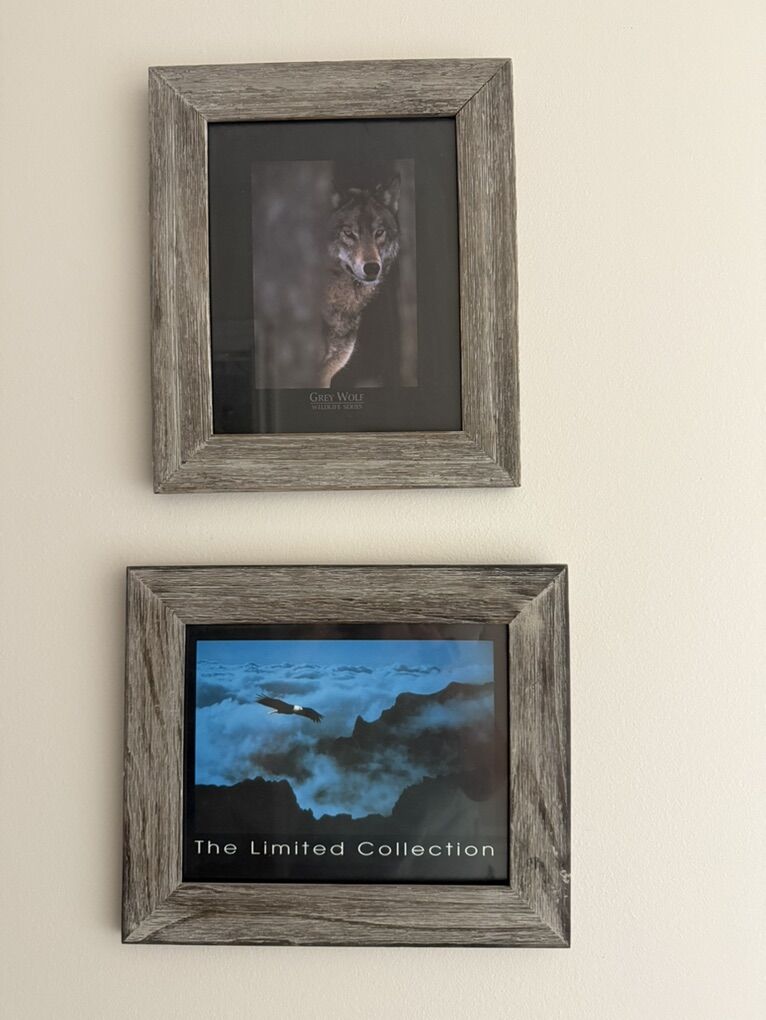 Limited Edition Framed Pictures