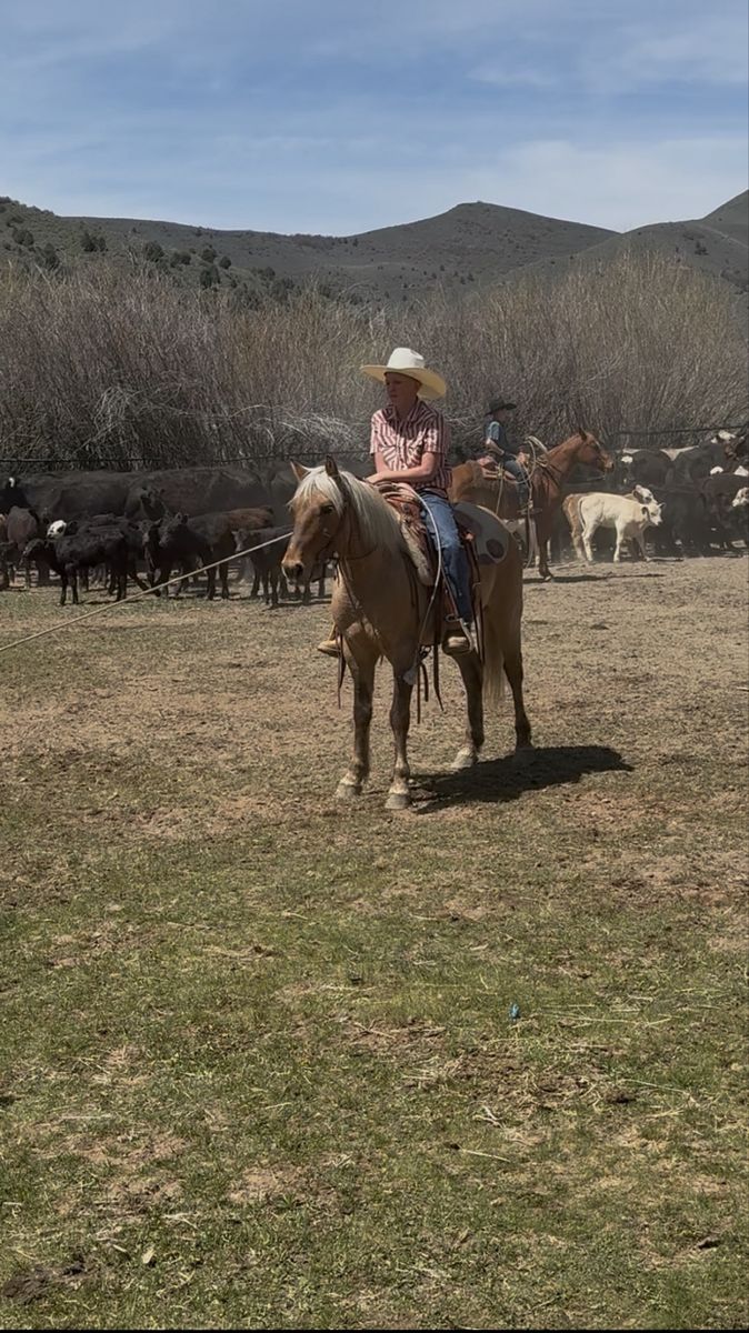 Palomino Pony