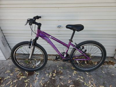 Schwinn Sidewinder 24"