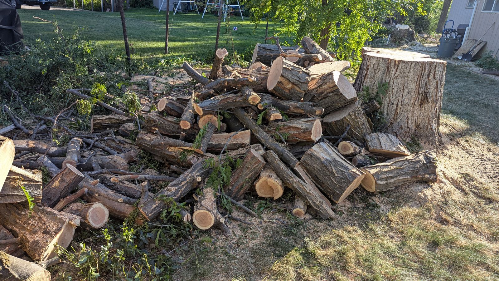 Main image 4