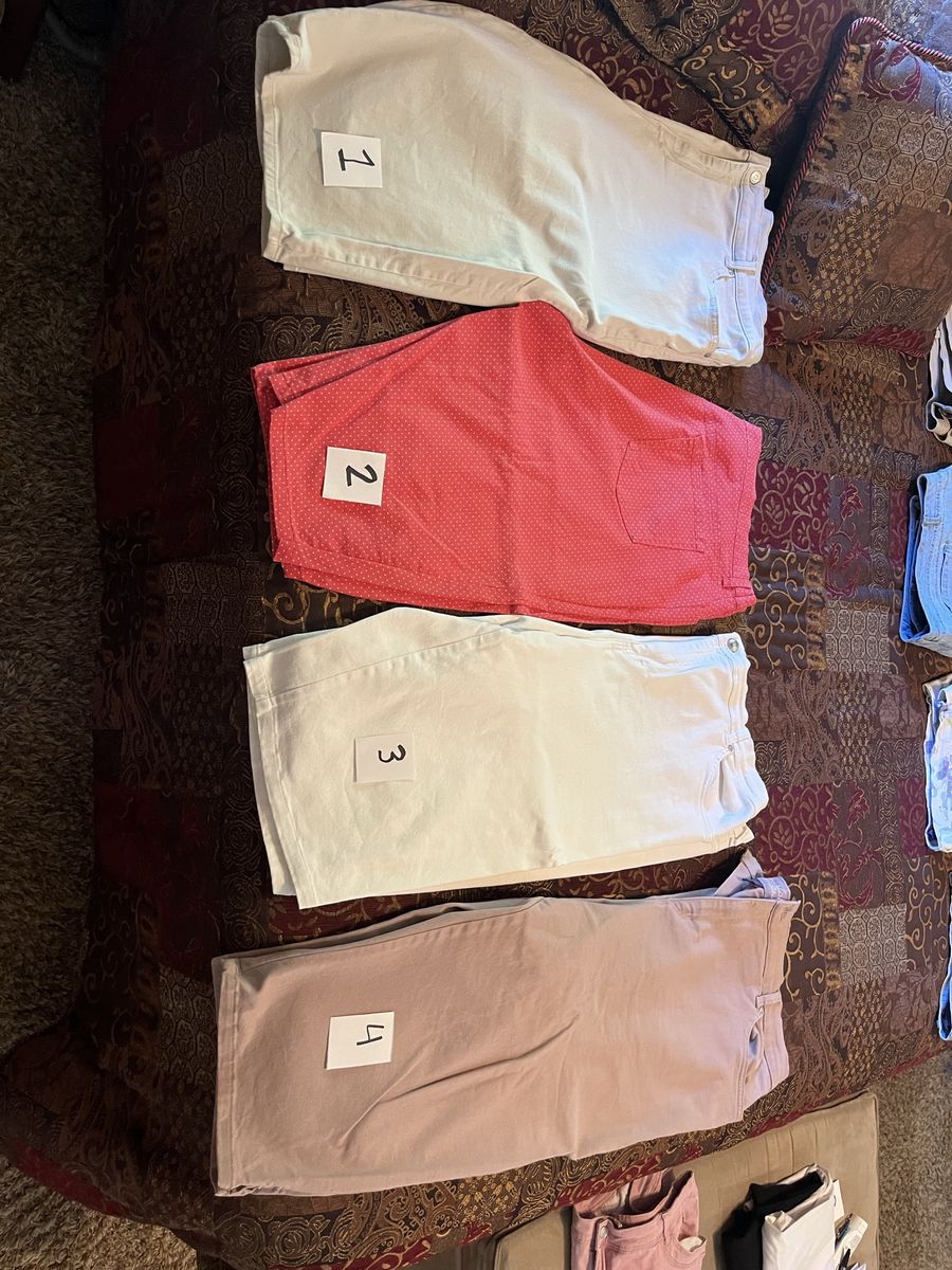 Gloria Vanderbilt shorts