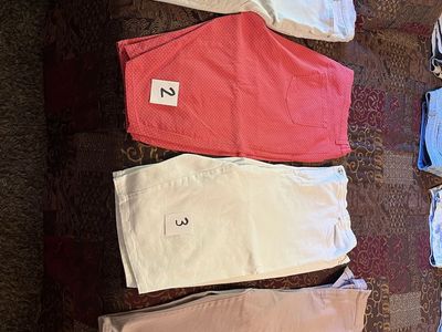 Gloria Vanderbilt shorts