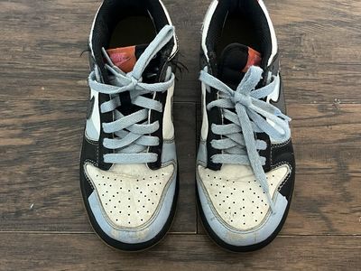 Nike dunk lows