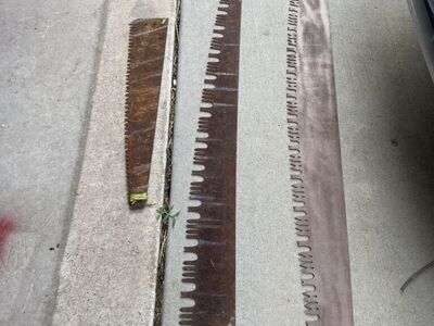 Old Saw Blades