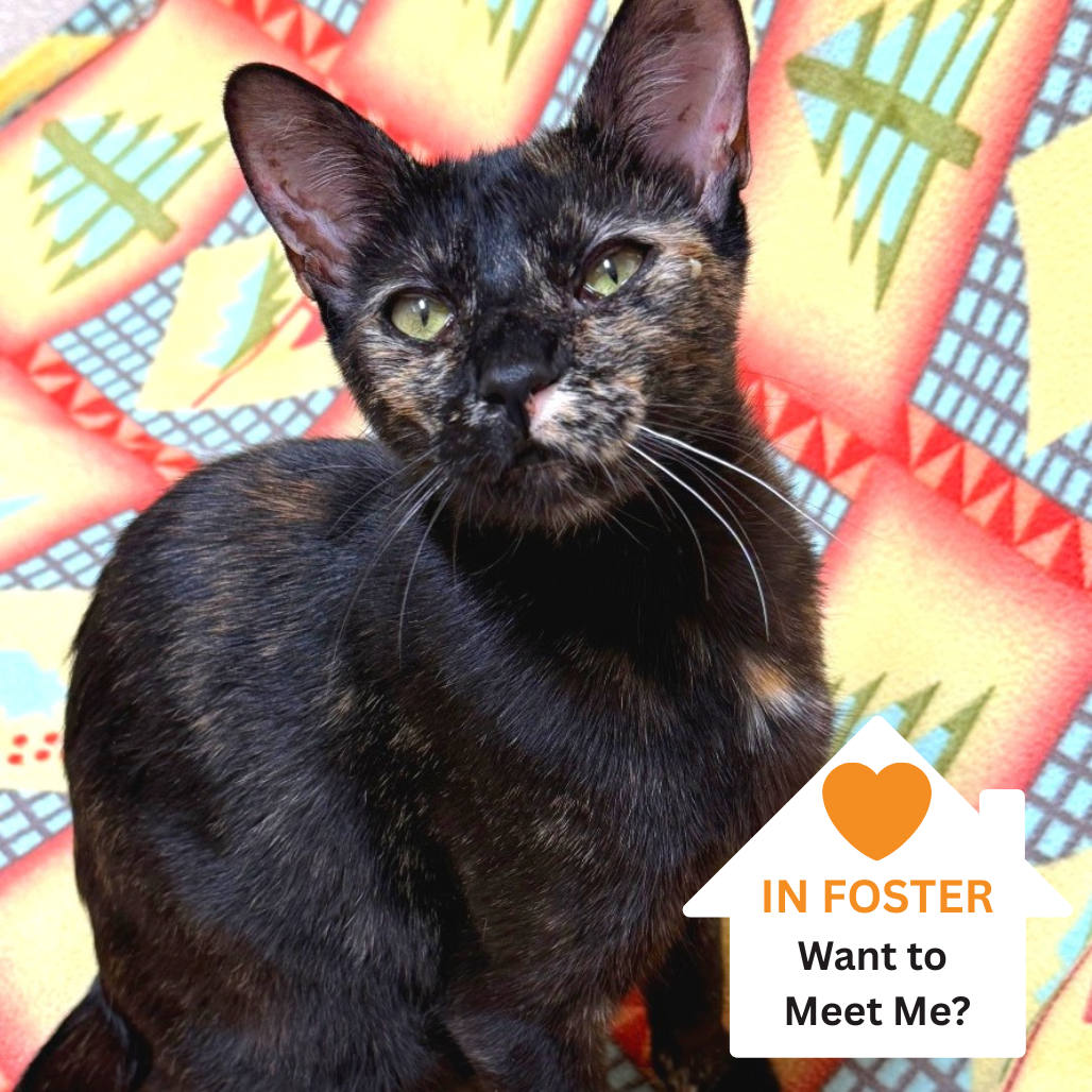 Hello my name is Marianne