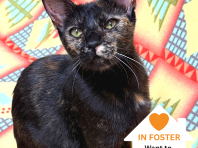 Hello my name is Marianne