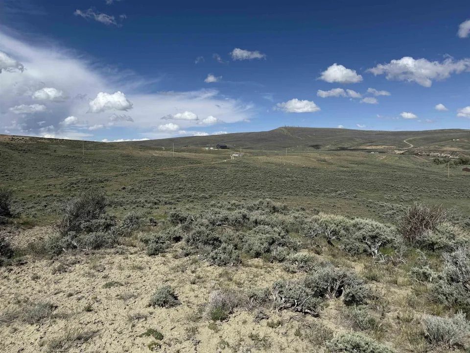Main image 16