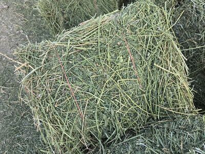 Alfalfa (straight) no mix