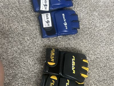 MMA gloves
