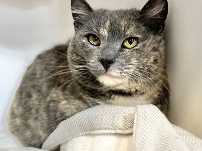 Hello my name is Sage