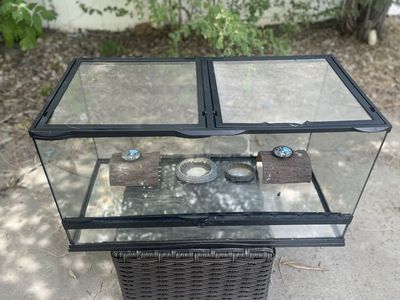 50 Gallon Reptile Glass Terrarium plus lamp. FULL SETUP