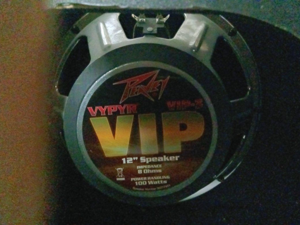 1X12 Peavy Guitar Speaker Cab!