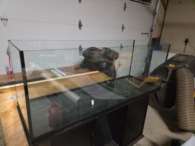 100 gallon Juwel and stand.