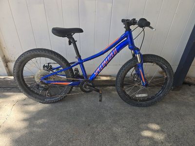Specialized Rip Rock Kids' Mountain Bike, Blue, 20-inch Wheels