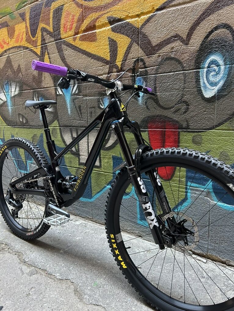 Forbidden Druid V2 29