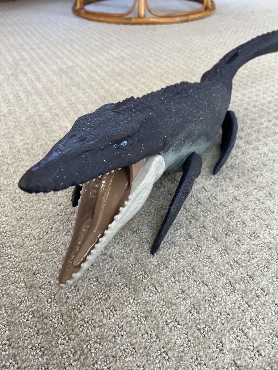 Large Mosasaurus Dinosaur