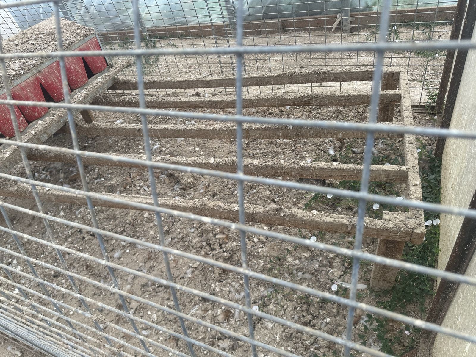 Main image 12
